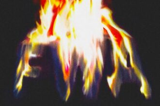 New Album: "Free Weezy Album" By Lil Wayne