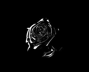 The long awaited "Shoot for the stars and aim for the moon album" by Pop Smoke has at long last been released by his management.