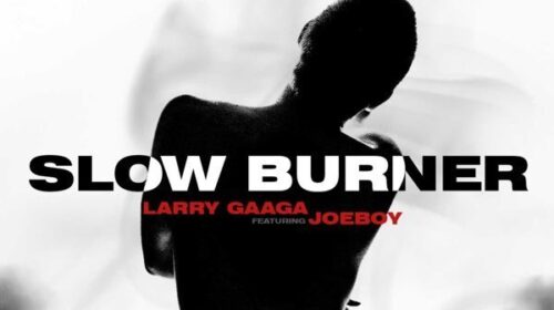 Larry Gaaga Slow Burner