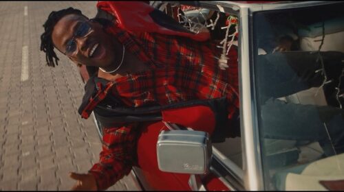 Fireboy DML Friday Feeling Video