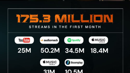 A One-Month Report Card On Burna Boy's "Twice As Tall" Album