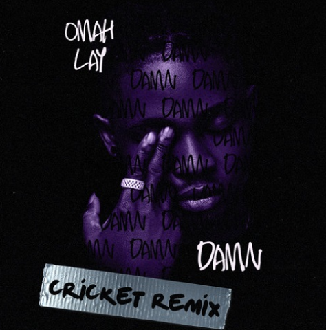 Omah lay - damn (cricket remix)