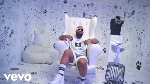 Cassper Nyovest Nokuthula Video