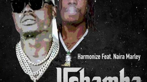 Harmonize Ushamba Remix