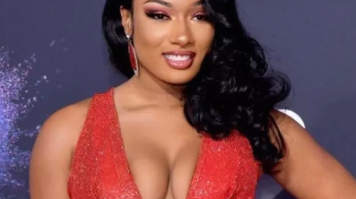 Screenshot 2020 12 01 Megan Thee Stallion tears up as artist gifts her with artwork of late mother