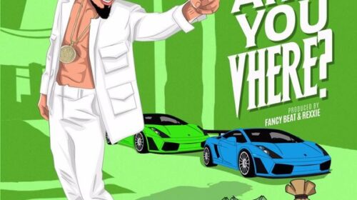 Skiibii Are You Vhere