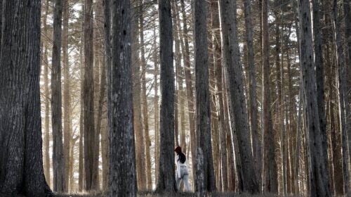 Marcus Lee - Just Wish You Cared’