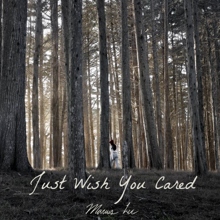 Marcus Lee - Just Wish You Cared’