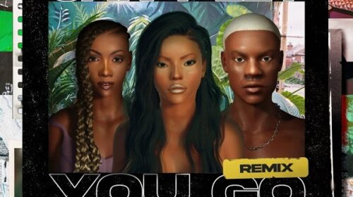 Stefflon Don Cant Let You Go Remix