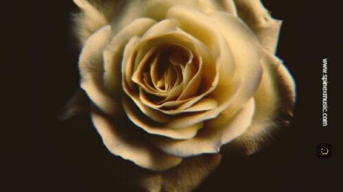 Cassper Nyovest – Siyathandana ft. Abidoza, Boohlea