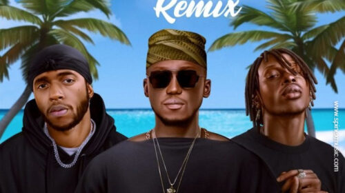 DJ Spinall Feat 6lack & Fireboy DML - 'Sere' (Remix)