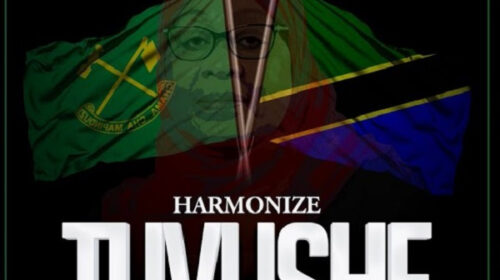 Harmonize-Tuvushe