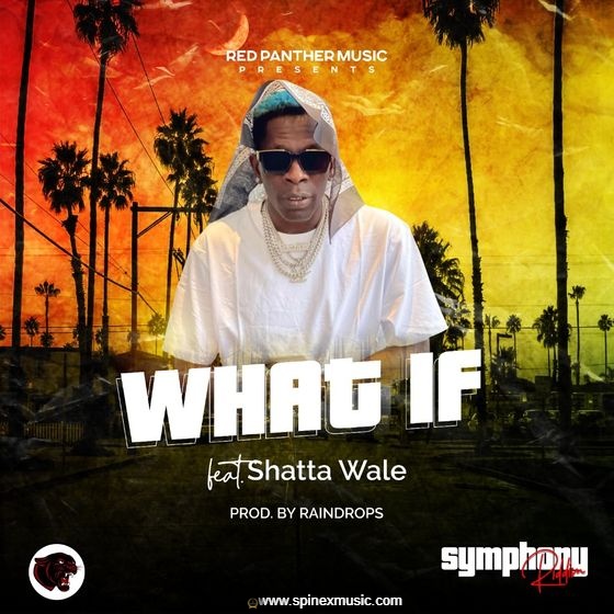 Shatta Wale - What If