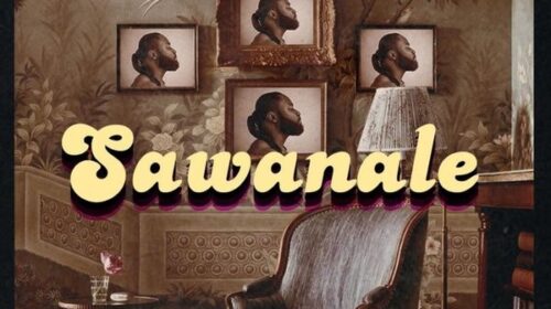 Sawanale by Harrysong