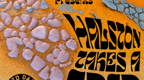 Sloane Angell - Halston Takes a Trip