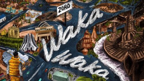Zoro Waka Waka