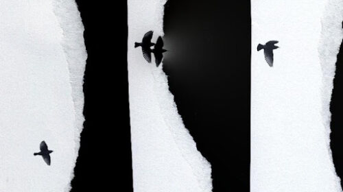 General Crush - Paper Planes