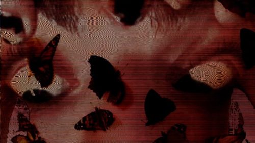 3d61bf70 2cd5 2c06 1fd5 a411c424347c