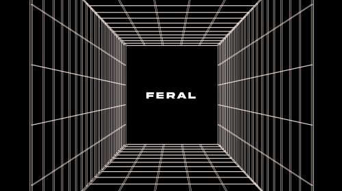 MORISBLAK NYXX Feral