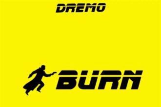 Artwork of Burn By Dremo