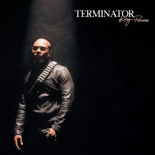 Artwork of Terminator by King Promise