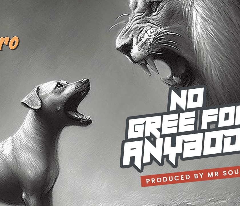 Artwork of No Gree For Anybody By Spyro