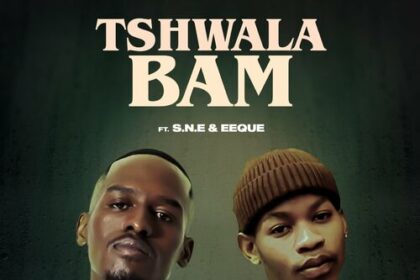 Artwork of Tshwala Bam By TiToM