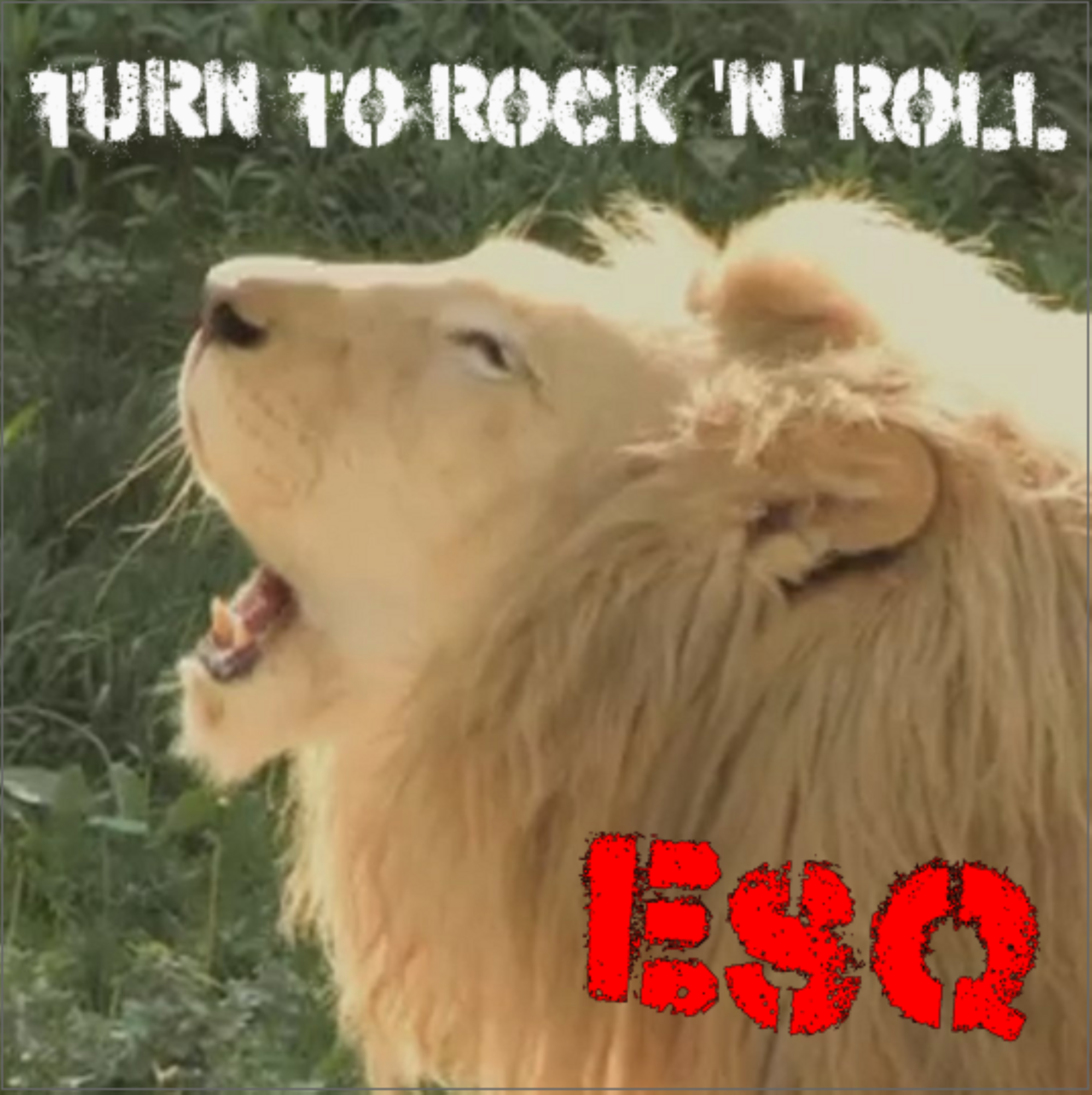 cover art of turn to rock n roll by ESQ