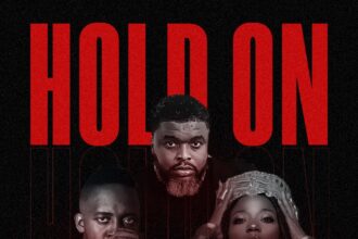 Artwork of Hold on by Larry Gaaga