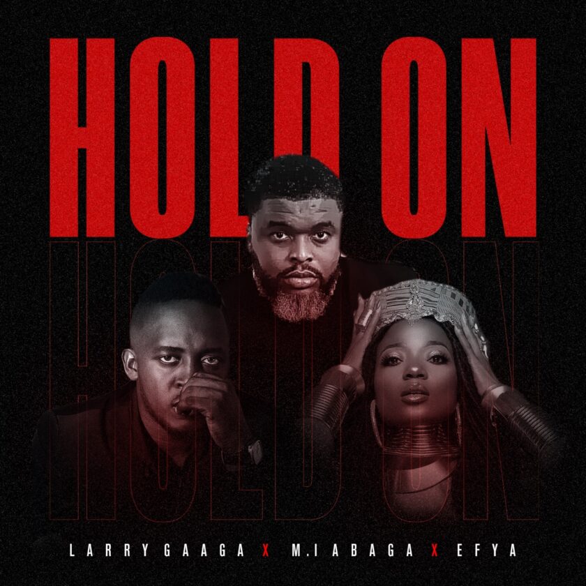 Artwork of Hold on by Larry Gaaga