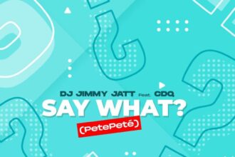 cover photo of see what by Dj Jimy Jatt