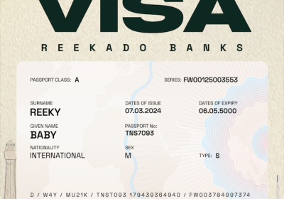 Cover art of visa by Reekado Banks