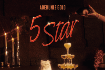 Adekunle Gold 5 Star