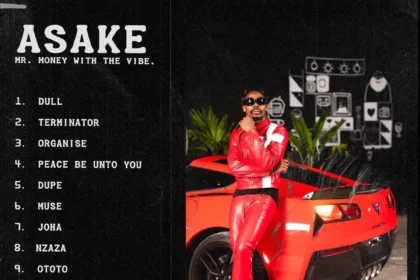 Asake Mr Money With The Vibe Album Review