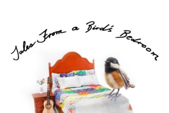 Tales From a Birds Bedroom