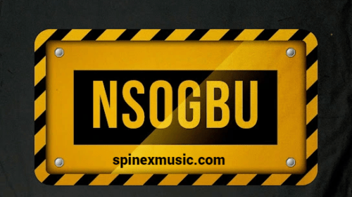 Peruzzi – Nsogbu Ft Odumodublvck