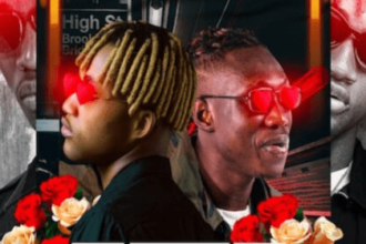 Picazo Featuring Zlatan – If I