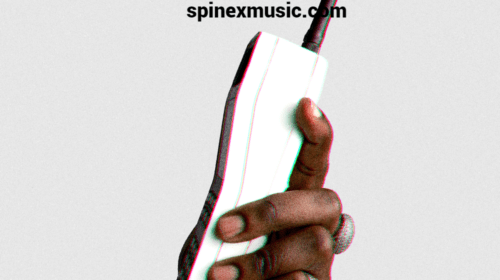 Reekado Banks Holla Me