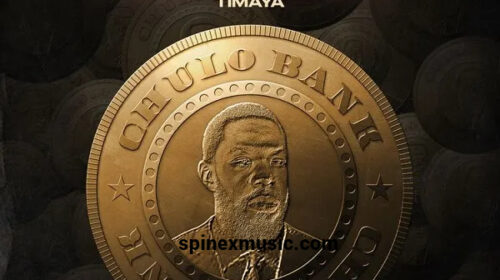 Timaya – Get My Money Right