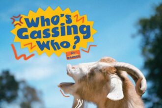 Banggz Who is Gassing Who