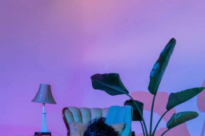 Casii Stephan Without A Box