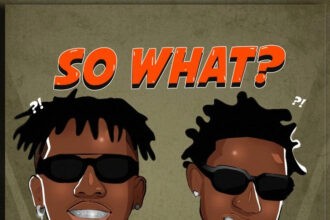 Shallipopi So What ft Tekno