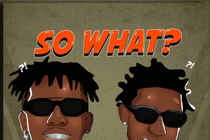 Shallipopi So What ft Tekno