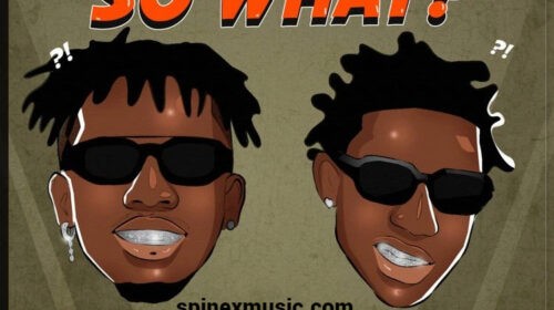 Shallipopi So What ft Tekno