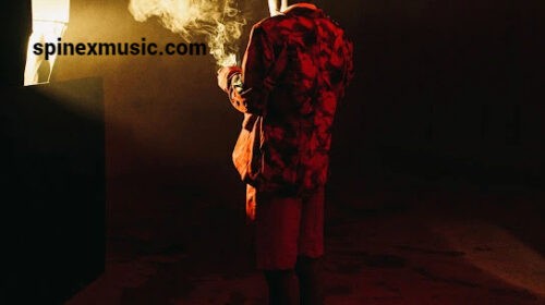 Shallipopi – Melanin Touch