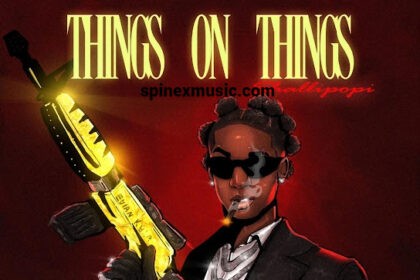 Shallipopi – Things on Things