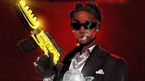 Shallipopi – Things on Things