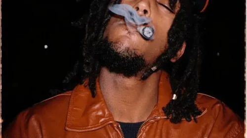 Artiste Spotlight Joony