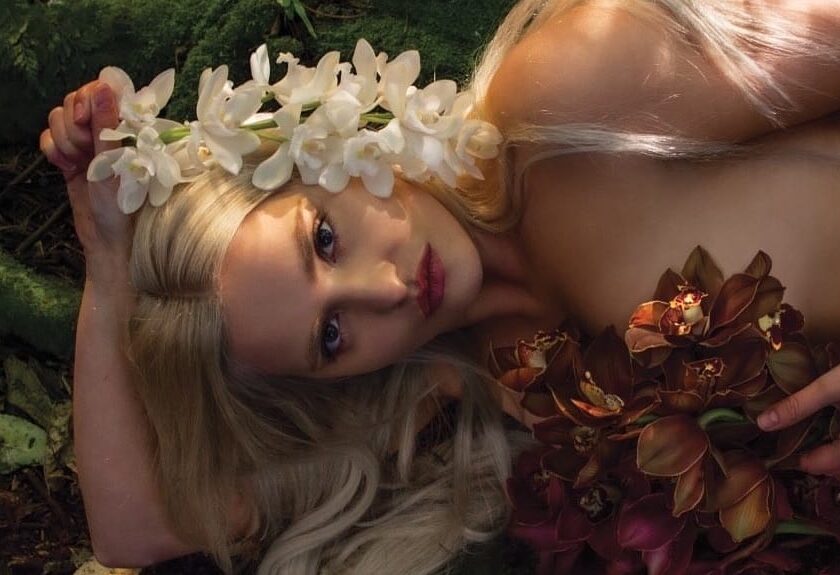 Siobhan Sainte Orchid
