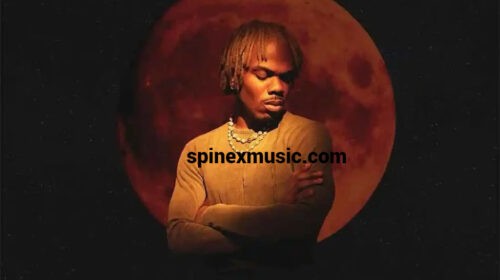 Ckay Mysterious Love